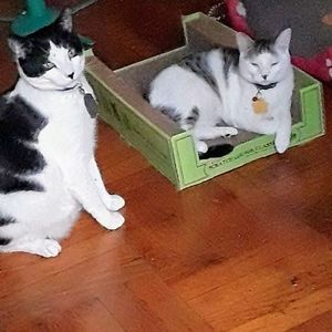 Meet your Posher, Lorraine